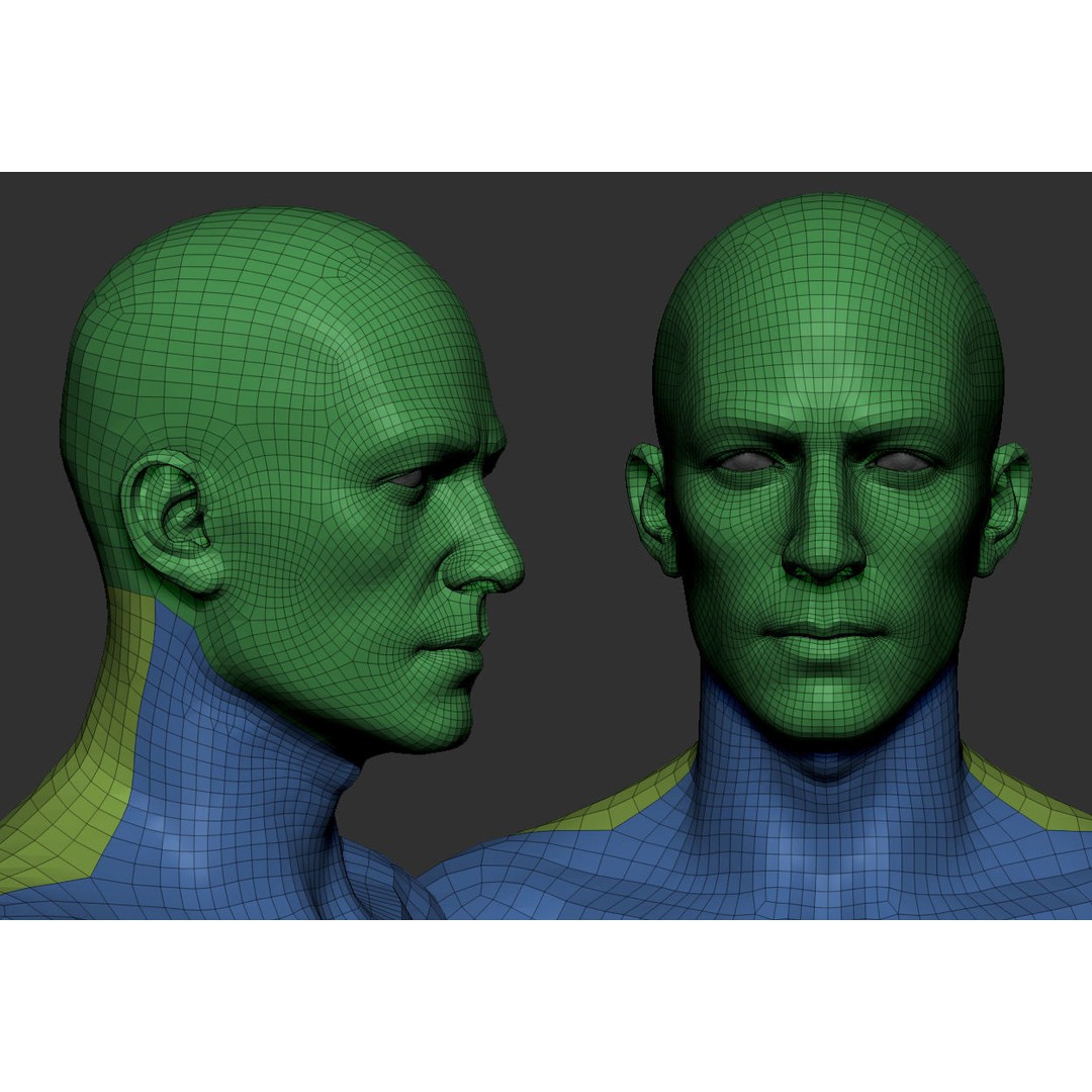 Male Body 3D Model – Low Poly Anatomy Sculpt, FBX & ZTL Formats