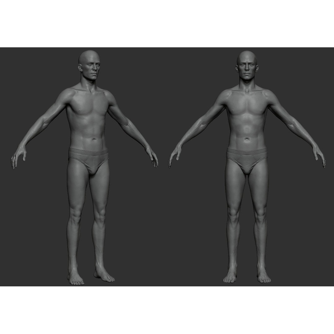 Male Body 3D Model – Low Poly Anatomy Sculpt, FBX & ZTL Formats - View 10