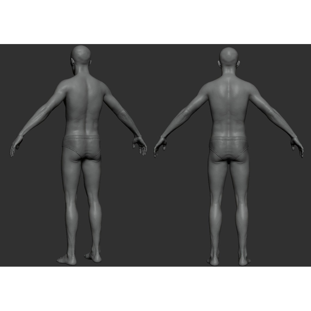 Male Body 3D Model – Low Poly Anatomy Sculpt, FBX & ZTL Formats - View 11