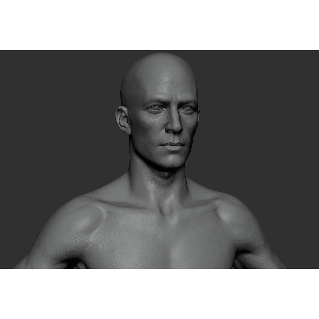 Male Body 3D Model – Low Poly Anatomy Sculpt, FBX & ZTL Formats - View 12