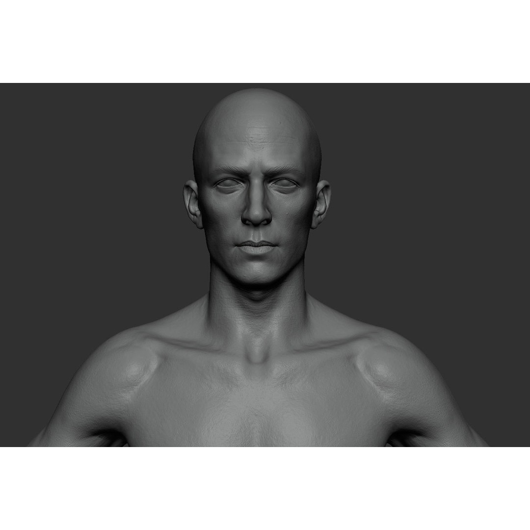 Male Body 3D Model – Low Poly Anatomy Sculpt, FBX & ZTL Formats - View 13