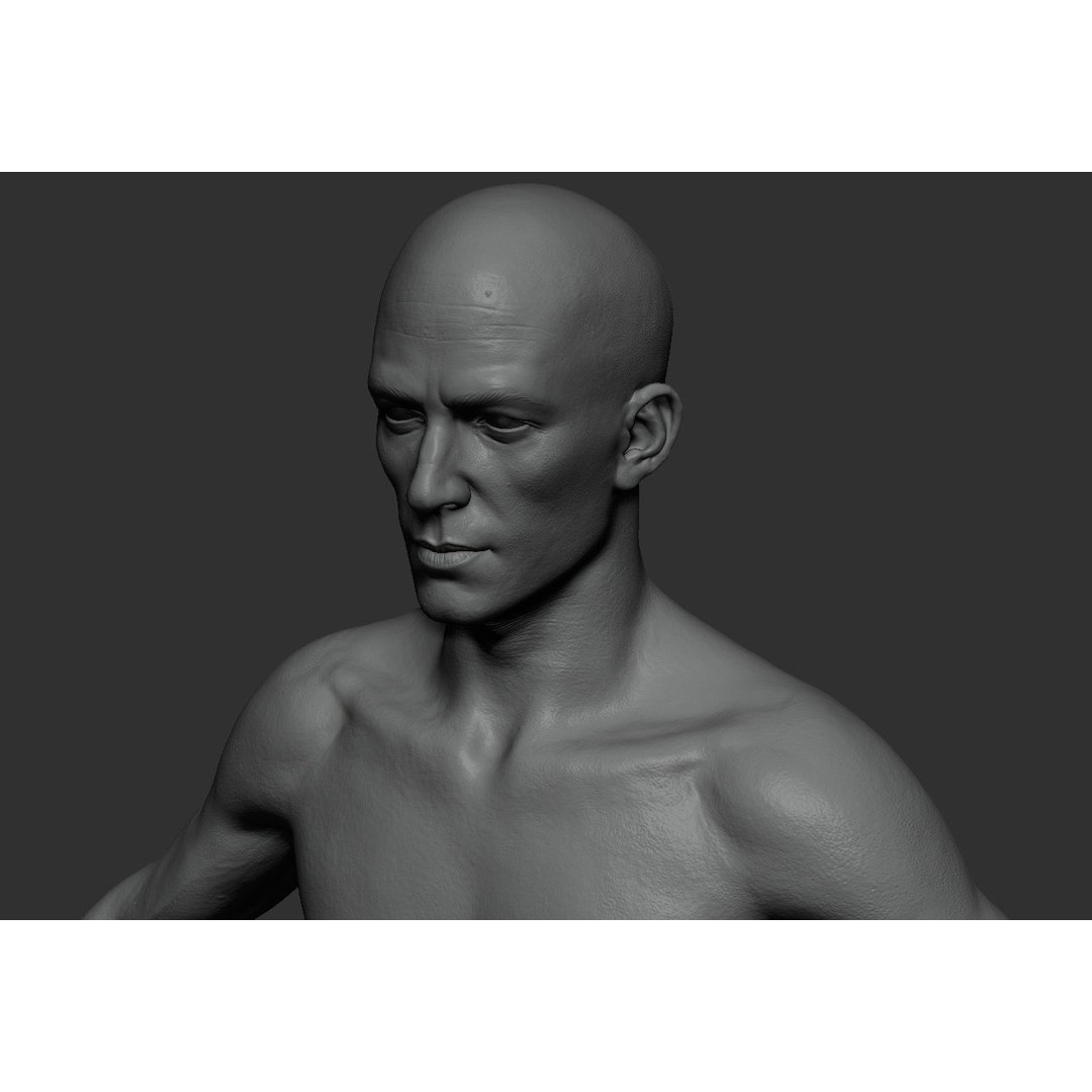 Male Body 3D Model – Low Poly Anatomy Sculpt, FBX & ZTL Formats - View 14