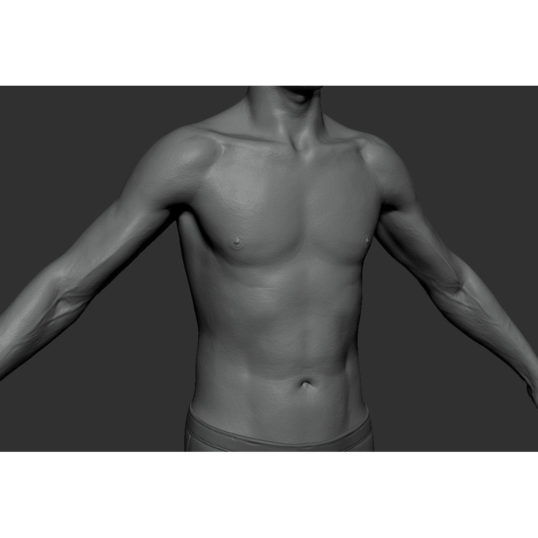 Male Body 3D Model – Low Poly Anatomy Sculpt, FBX & ZTL Formats - View 15