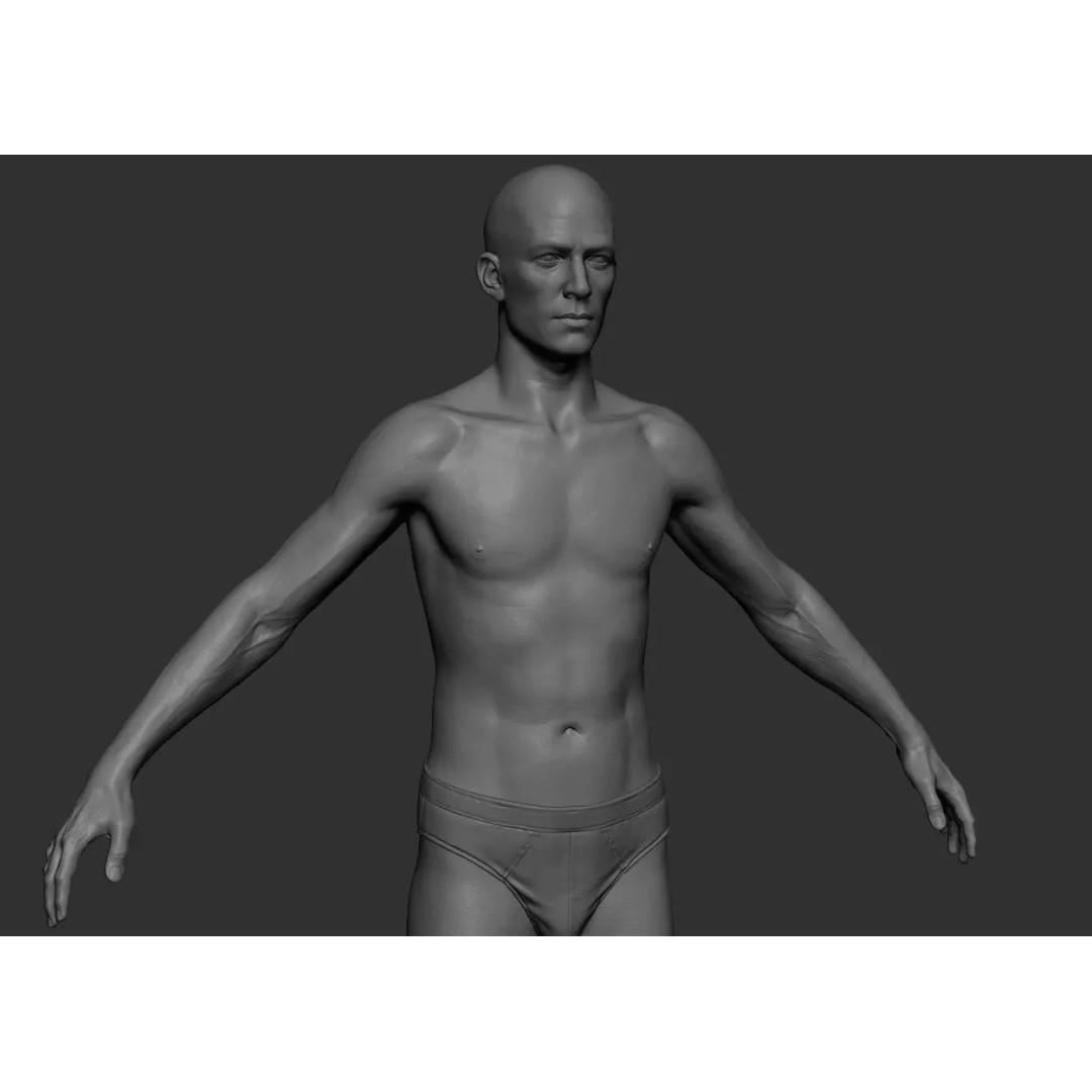 Male Body 3D Model – Low Poly Anatomy Sculpt, FBX & ZTL Formats - View 2
