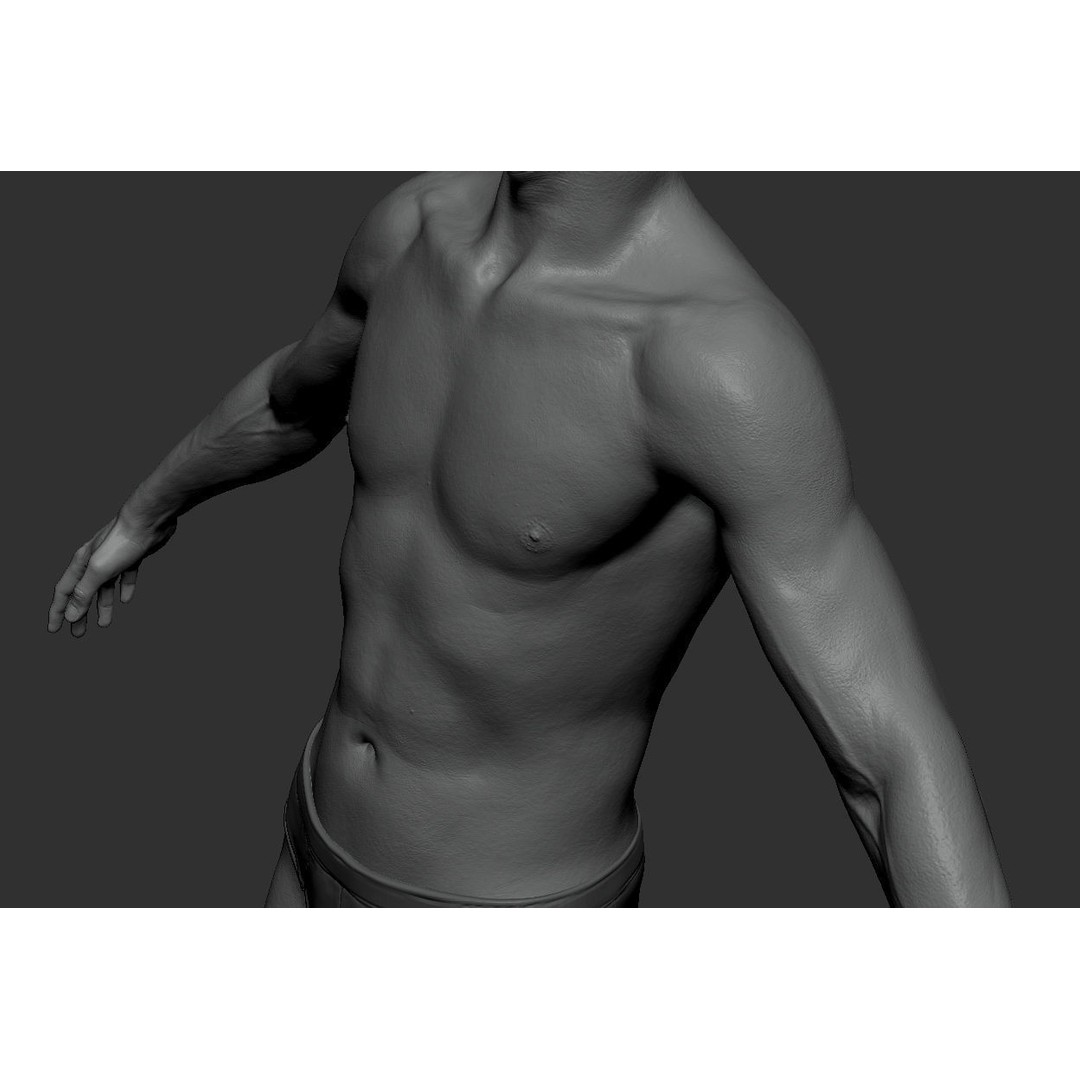 Male Body 3D Model – Low Poly Anatomy Sculpt, FBX & ZTL Formats - View 3