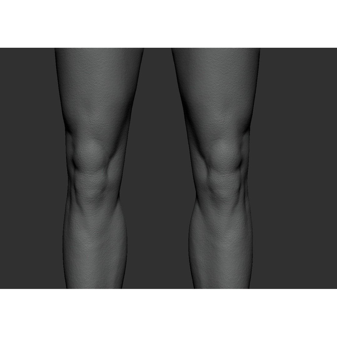 Male Body 3D Model – Low Poly Anatomy Sculpt, FBX & ZTL Formats - View 5