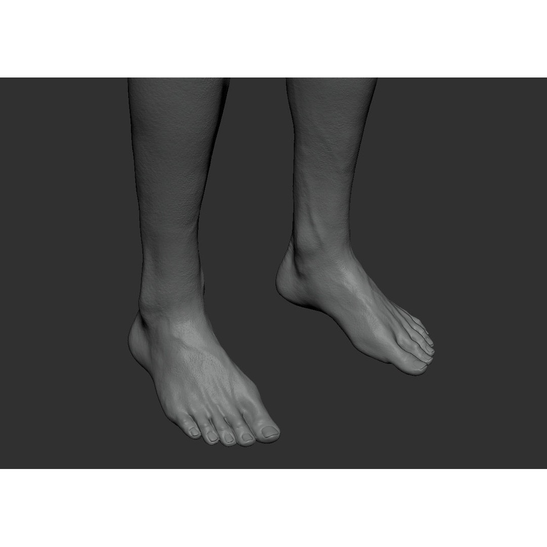 Male Body 3D Model – Low Poly Anatomy Sculpt, FBX & ZTL Formats - View 6