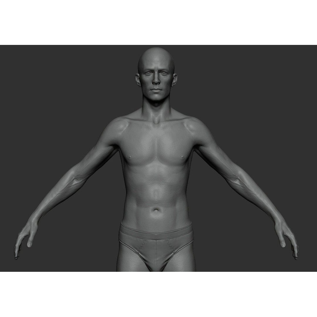 Male Body 3D Model – Low Poly Anatomy Sculpt, FBX & ZTL Formats - View 8