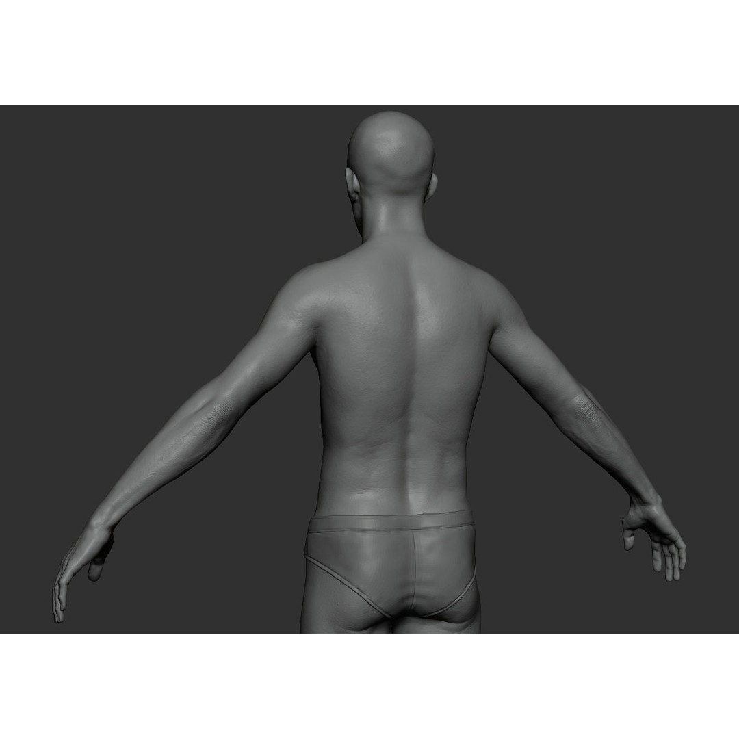 Male Body 3D Model – Low Poly Anatomy Sculpt, FBX & ZTL Formats - View 9