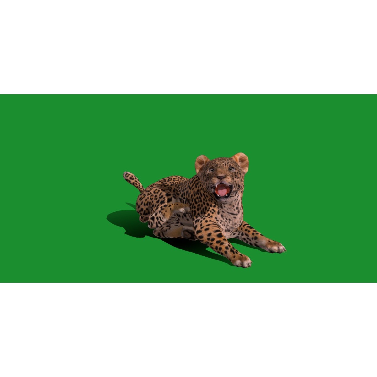 Leopard Cub - Low-Poly Game-Ready 3D Model - View 14