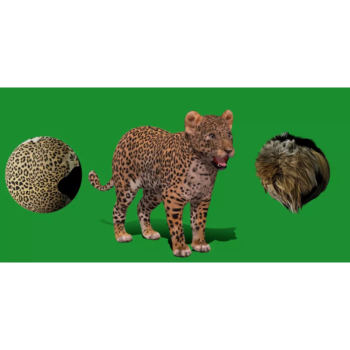 Leopard Cub - Low-Poly Game-Ready 3D Model - View 2