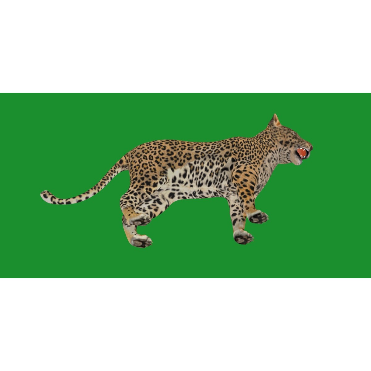 Leopard Cub - Low-Poly Game-Ready 3D Model - View 23