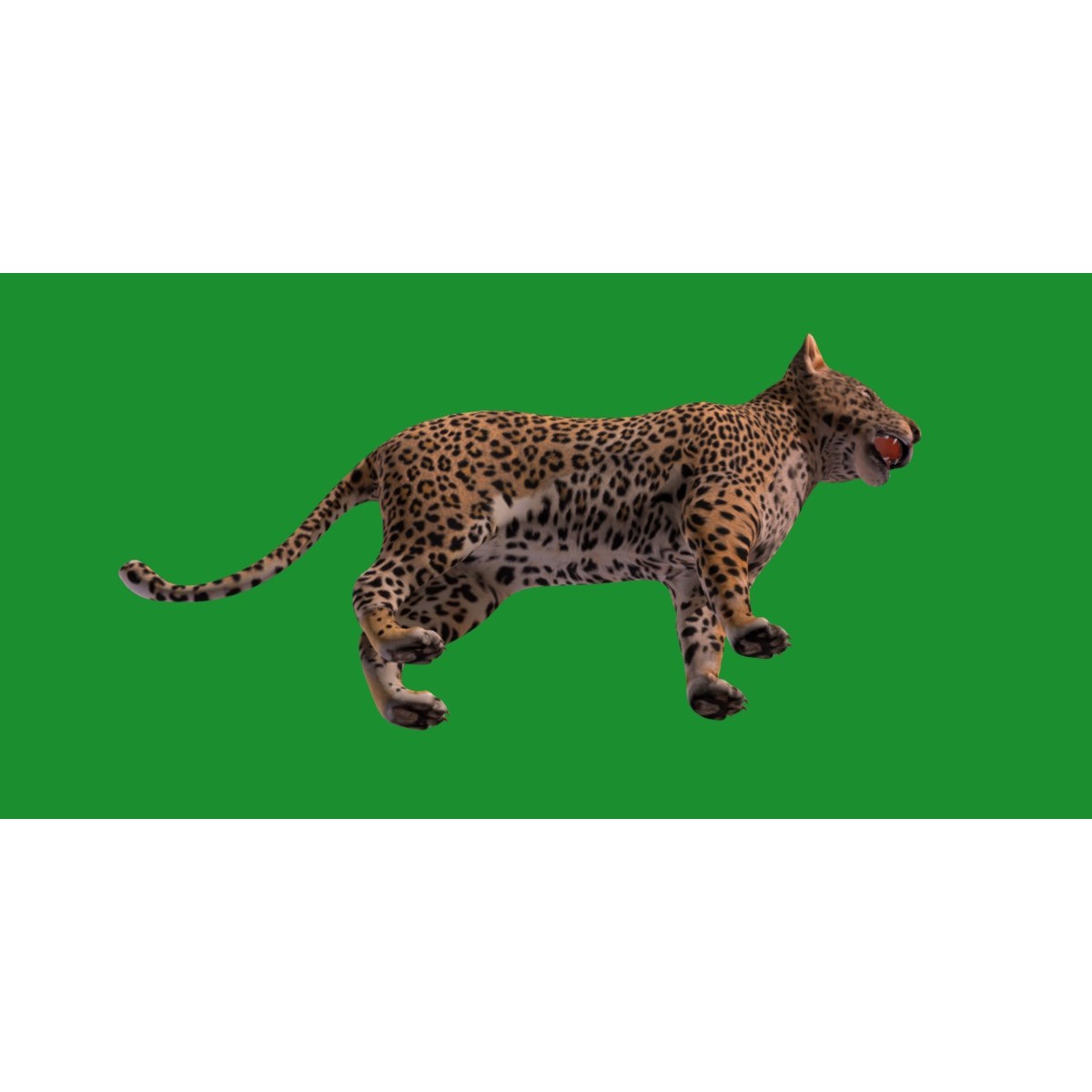 Leopard Cub - Low-Poly Game-Ready 3D Model - View 24
