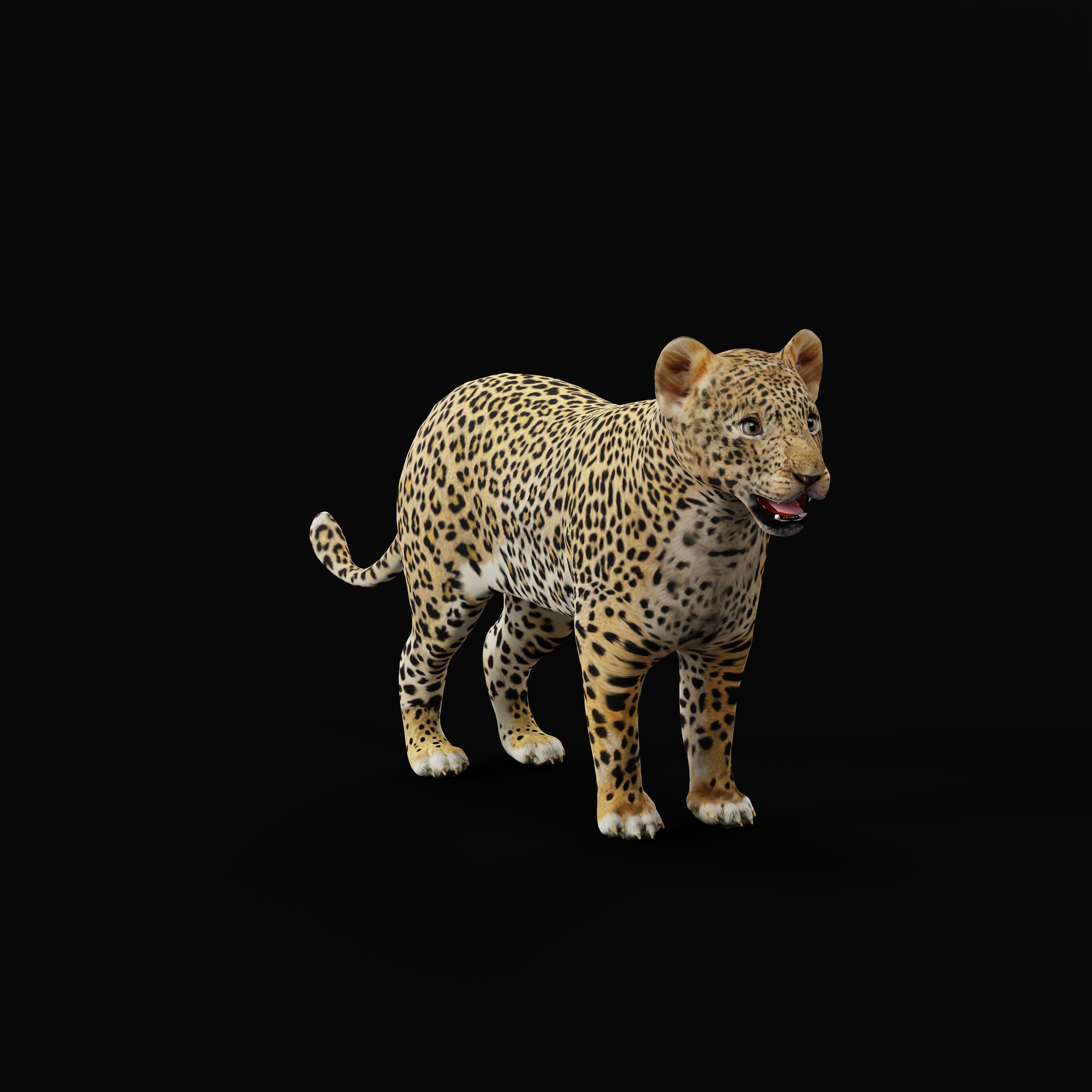 Leopard Cub - Low-Poly Game-Ready 3D Model - View 27