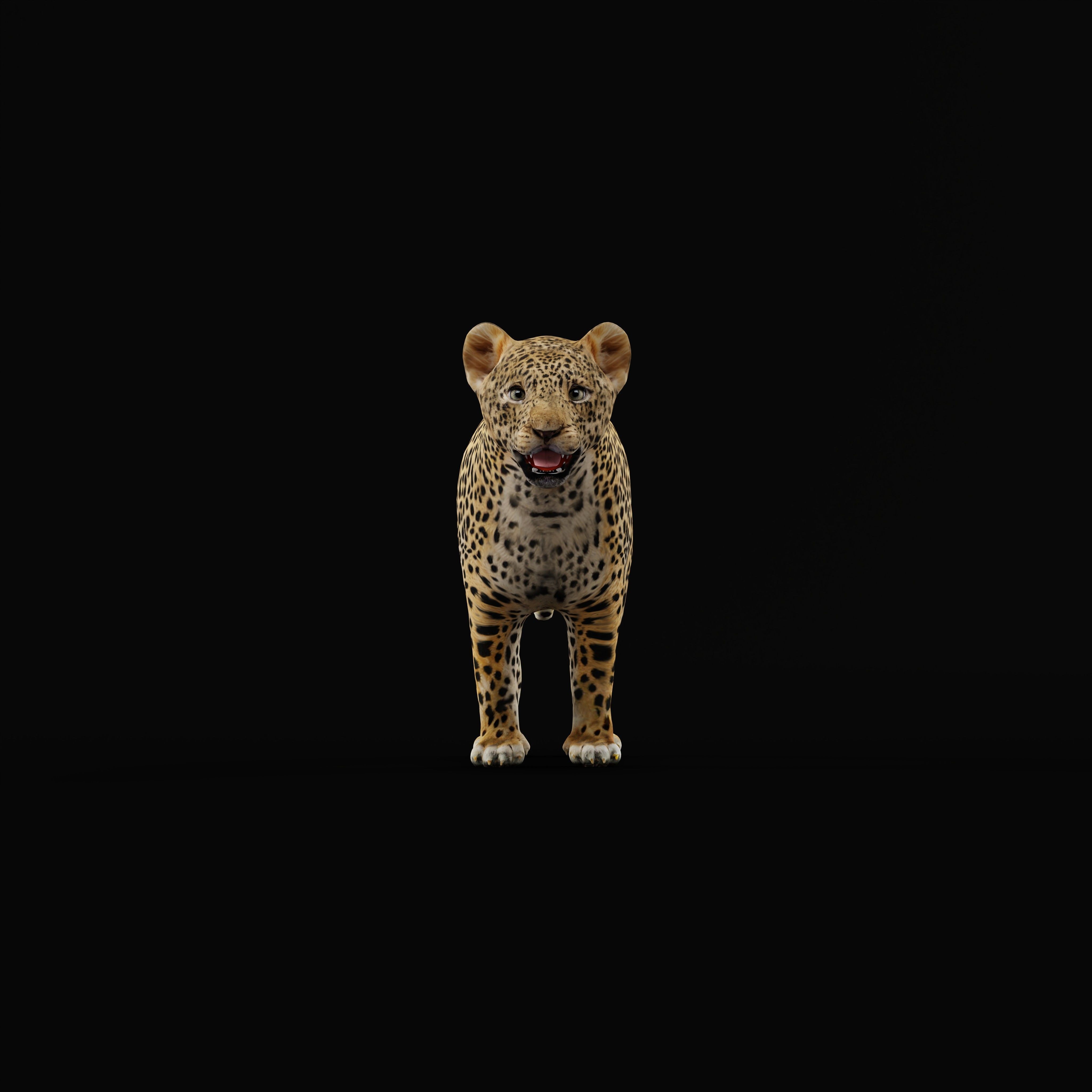 Leopard Cub - Low-Poly Game-Ready 3D Model - View 28
