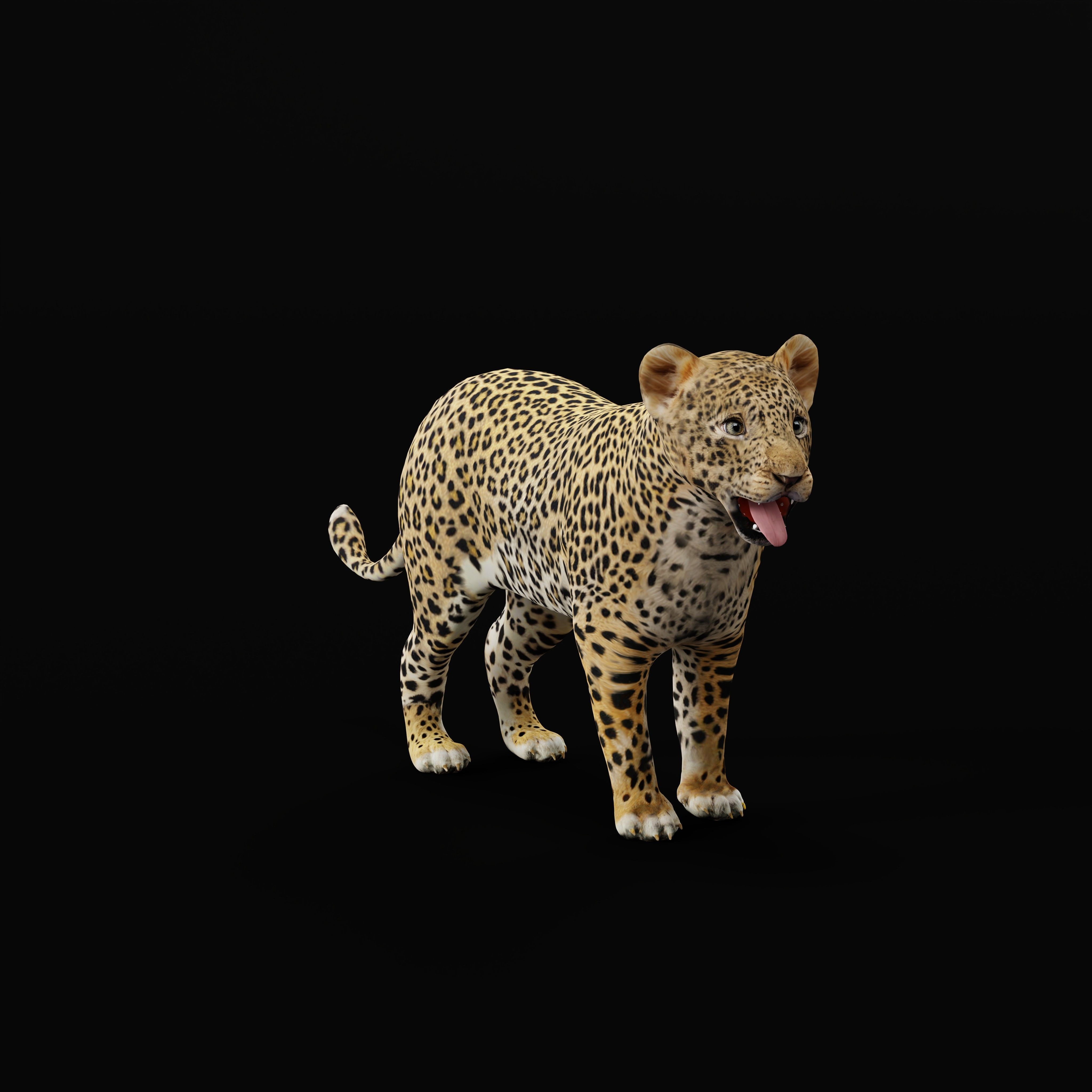 Leopard Cub - Low-Poly Game-Ready 3D Model - View 32