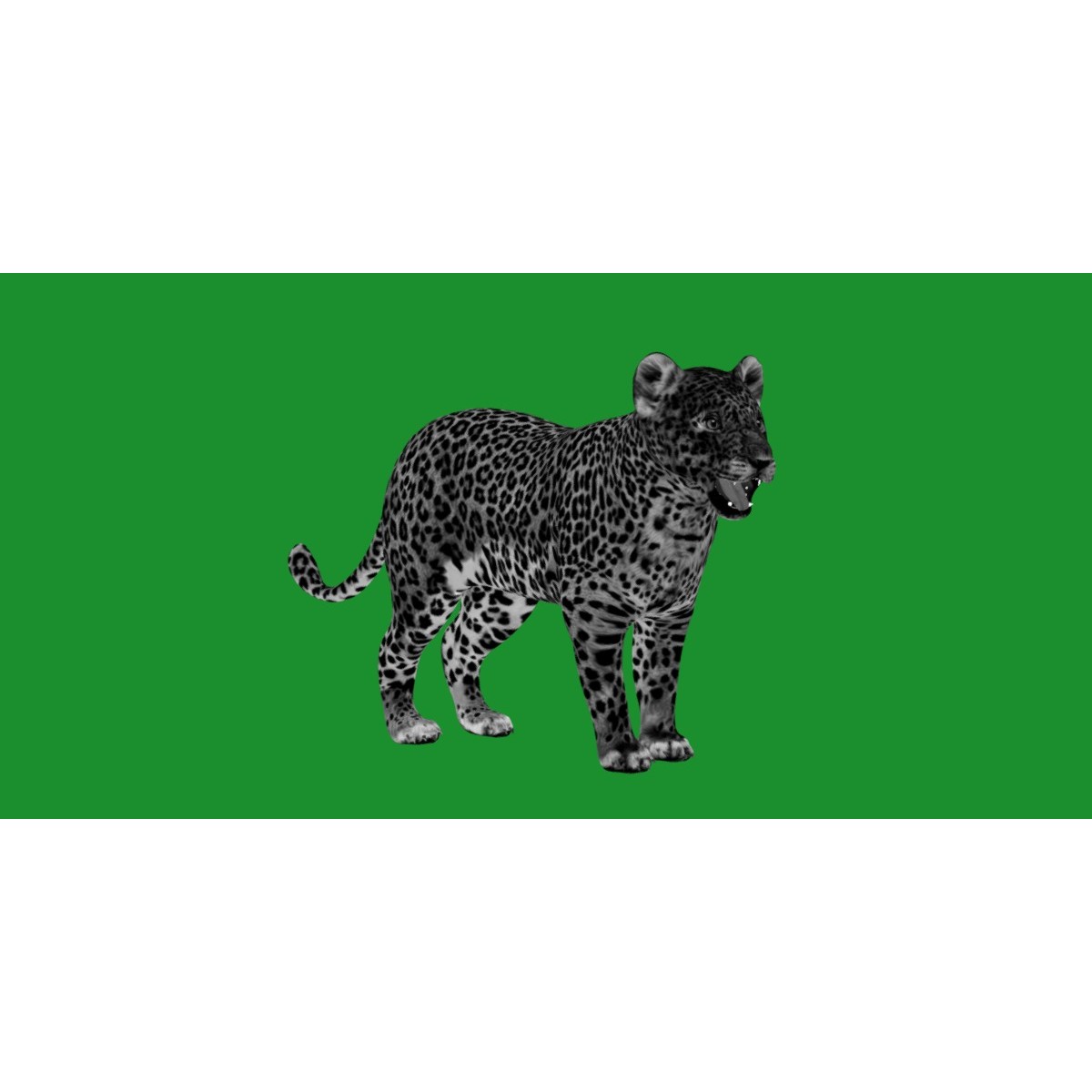 Leopard Cub - Low-Poly Game-Ready 3D Model - View 7