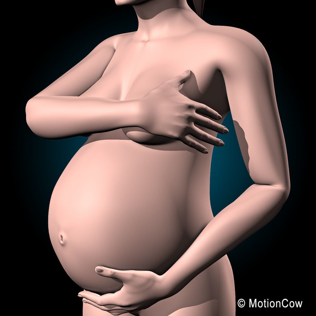 Pregnant Woman 3D Model – Detailed Anatomy with Fetus and Placenta, Rigged - View 25