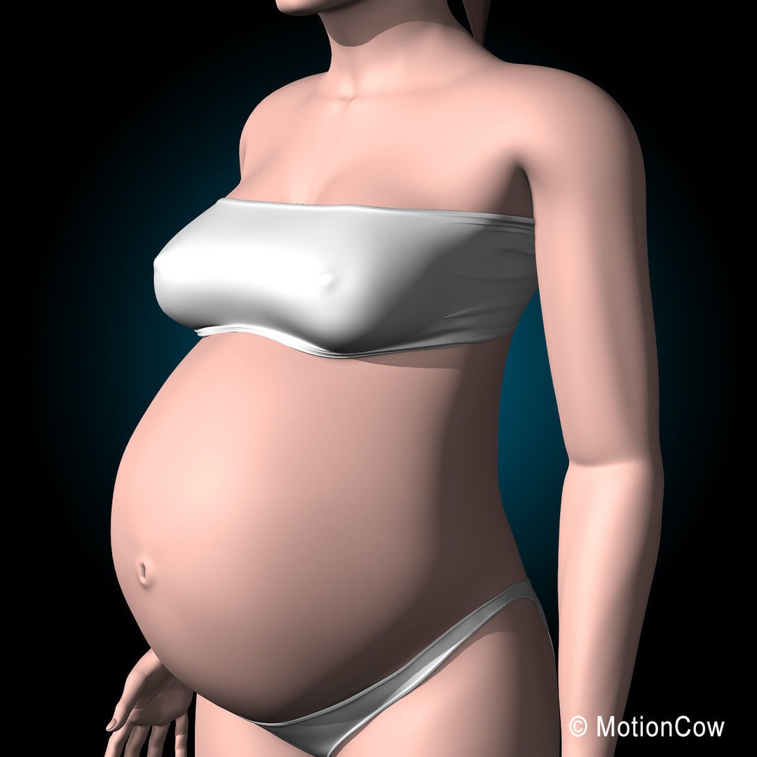 Pregnant Woman 3D Model – Detailed Anatomy with Fetus and Placenta, Rigged - View 27