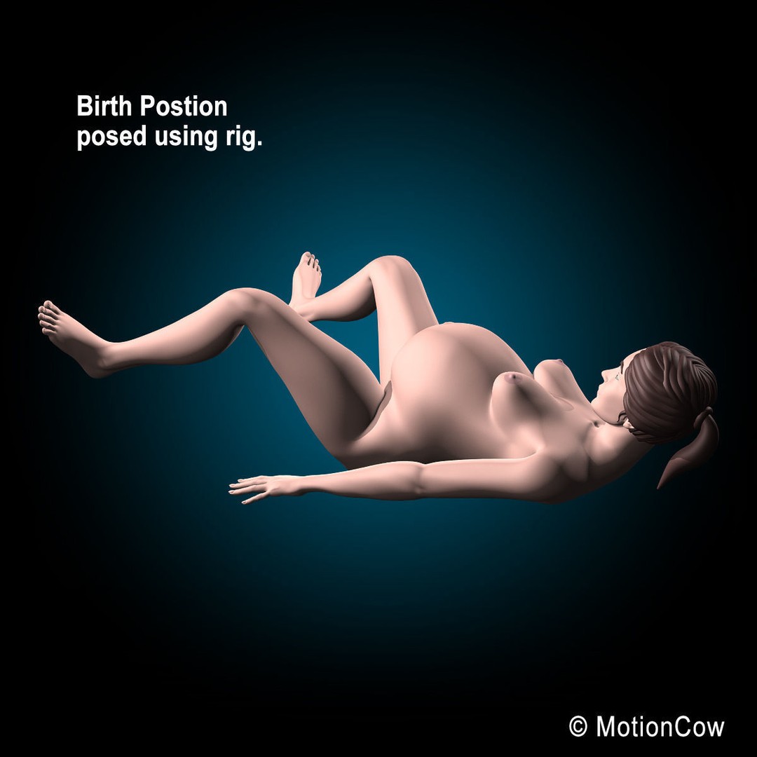 Pregnant Woman 3D Model – Detailed Anatomy with Fetus and Placenta, Rigged - View 33