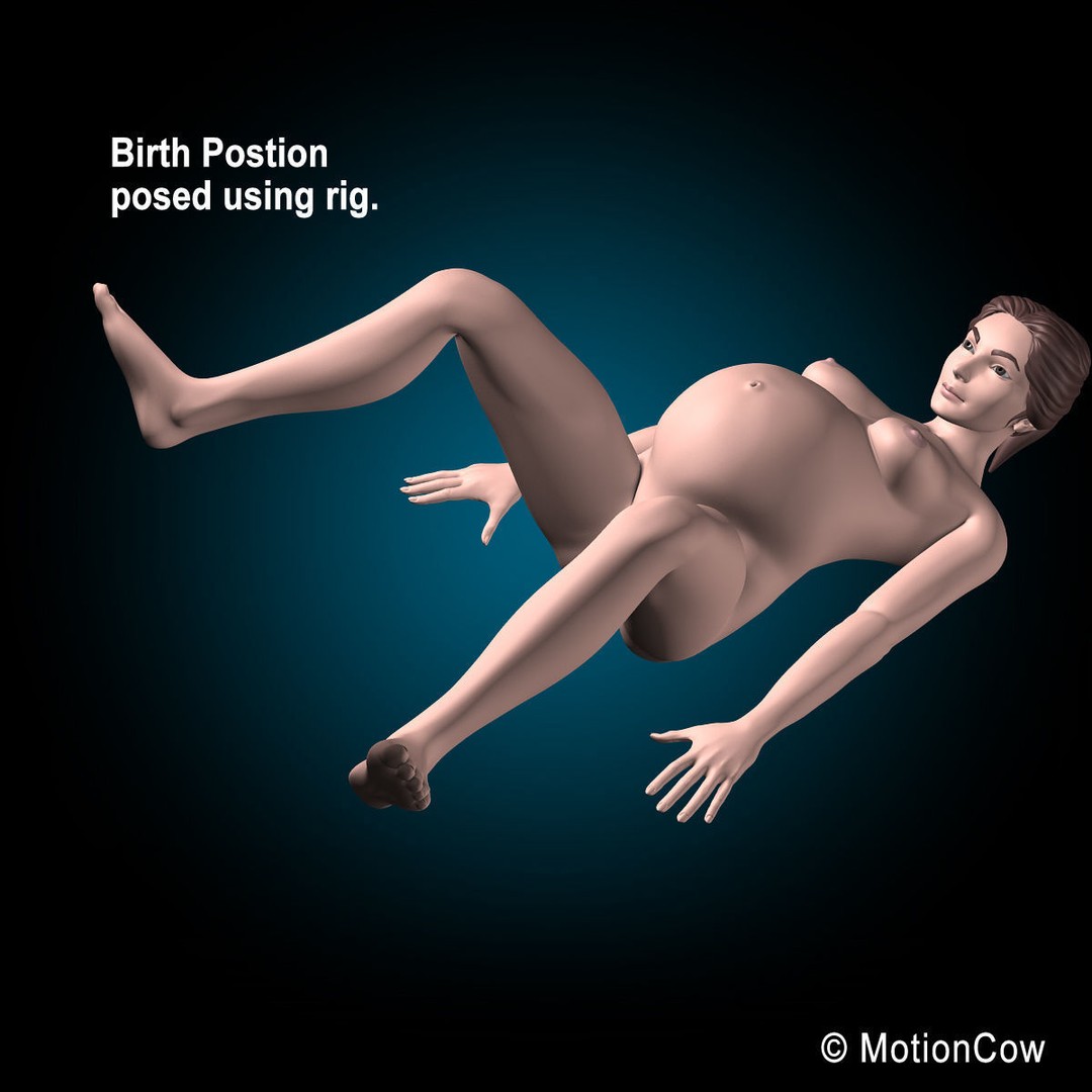 Pregnant Woman 3D Model – Detailed Anatomy with Fetus and Placenta, Rigged - View 34