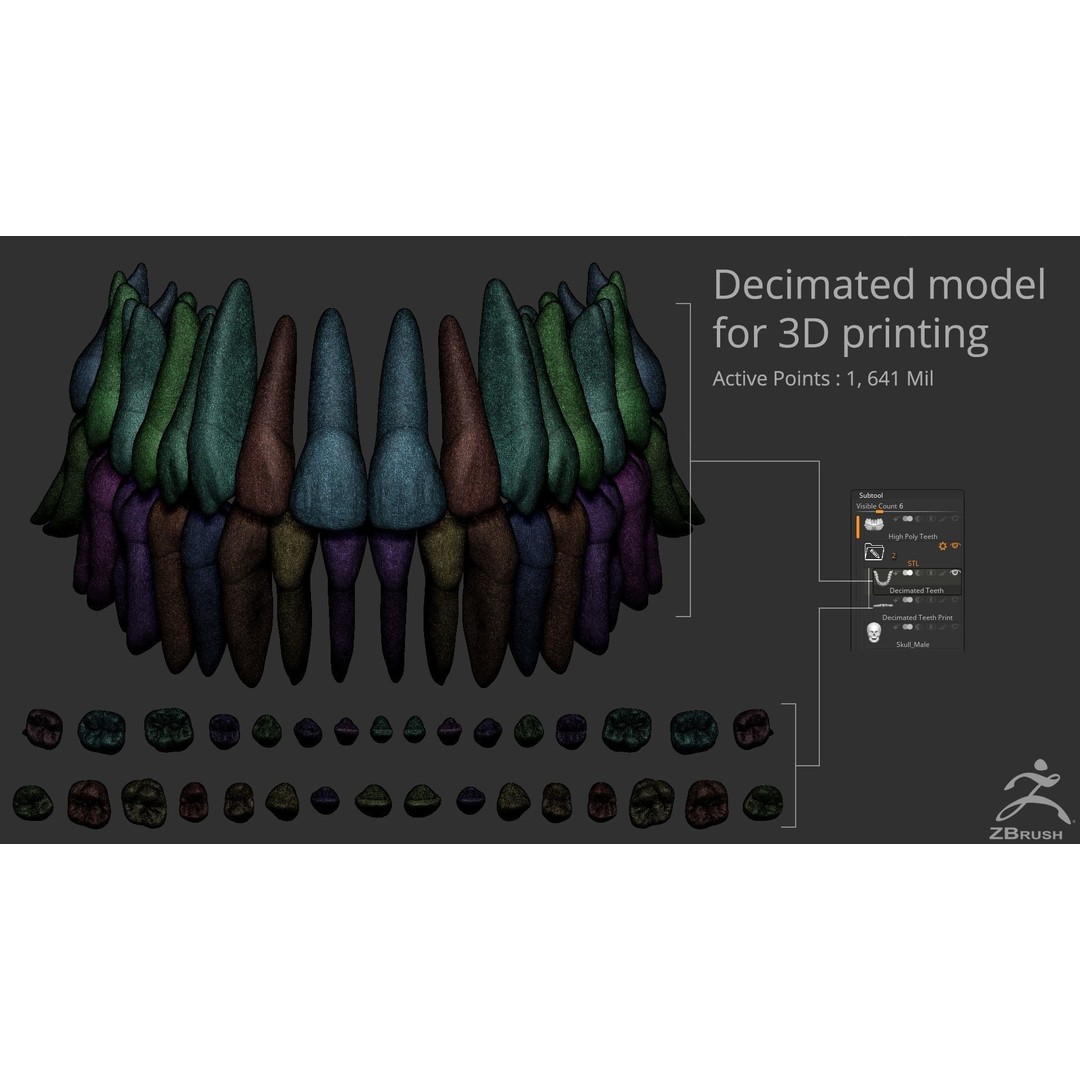 High Poly Teeth 3D Model – Anatomical Dental Asset for 3D Printing - View 10