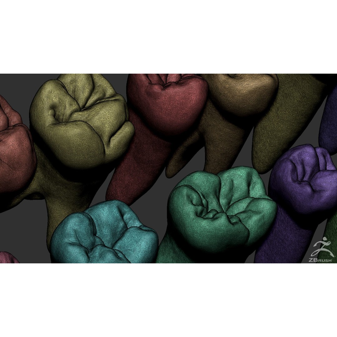 High Poly Teeth 3D Model – Anatomical Dental Asset for 3D Printing - View 11