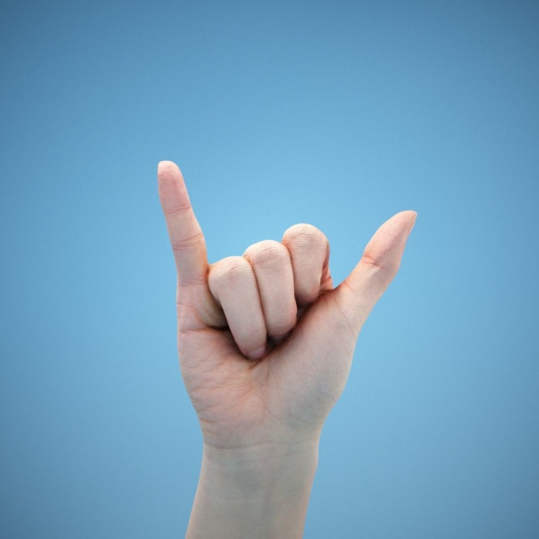 36 Hand Scans 3D Model – Low Poly Character Anatomy, OBJ & ZTL Formats - View 10