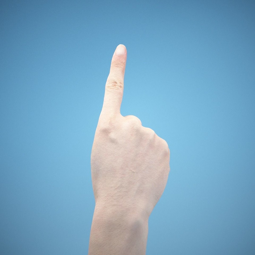 36 Hand Scans 3D Model – Low Poly Character Anatomy, OBJ & ZTL Formats - View 11