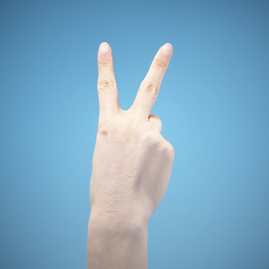 36 Hand Scans 3D Model – Low Poly Character Anatomy, OBJ & ZTL Formats - View 12