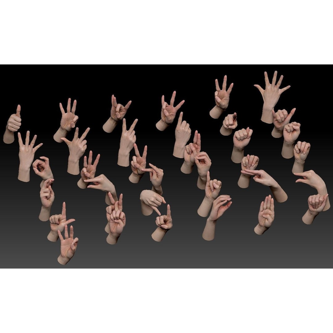 36 Hand Scans 3D Model – Low Poly Character Anatomy, OBJ & ZTL Formats - View 3