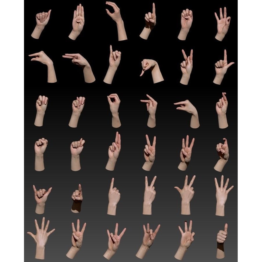 36 Hand Scans 3D Model – Low Poly Character Anatomy, OBJ & ZTL Formats - View 4