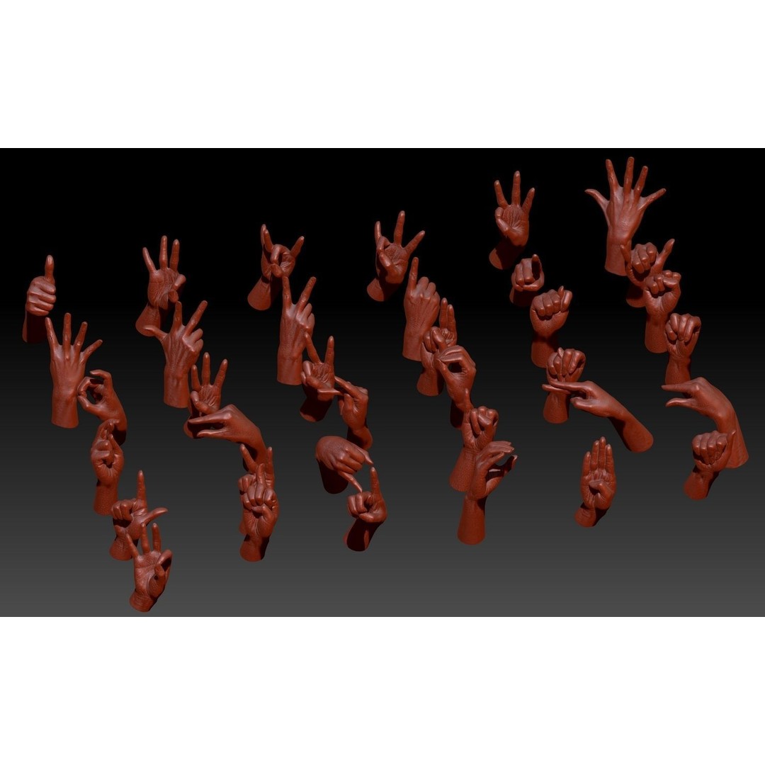 36 Hand Scans 3D Model – Low Poly Character Anatomy, OBJ & ZTL Formats - View 5