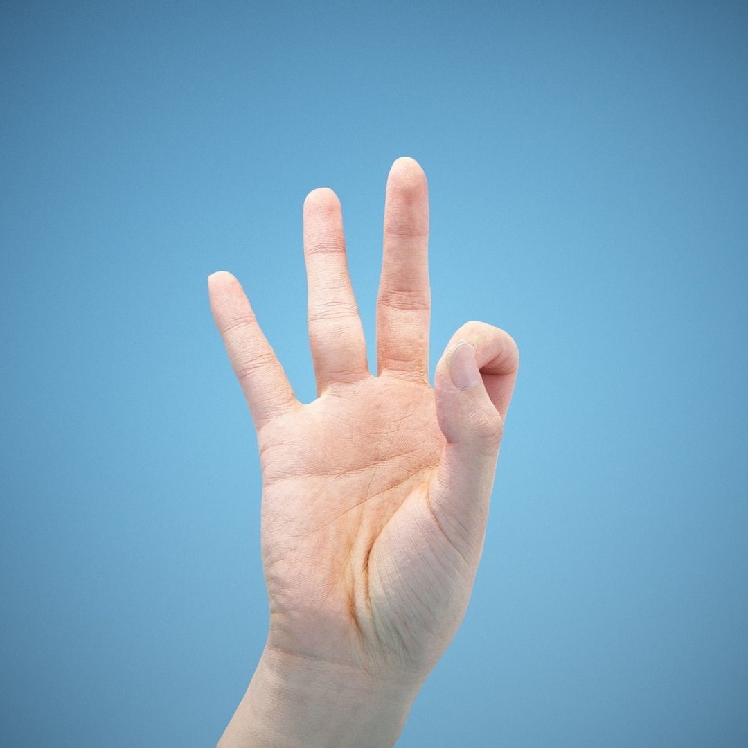 36 Hand Scans 3D Model – Low Poly Character Anatomy, OBJ & ZTL Formats - View 6