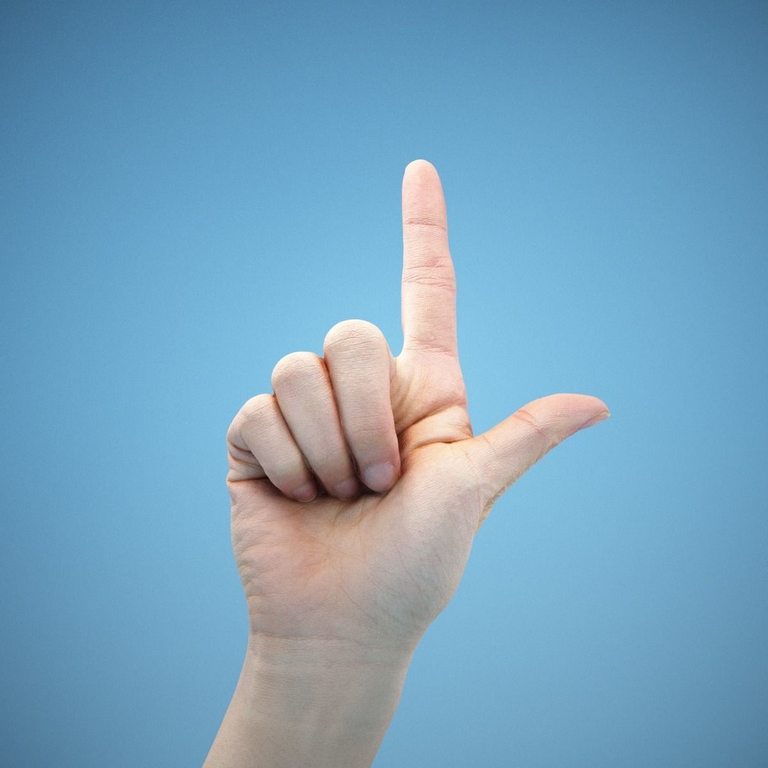 36 Hand Scans 3D Model – Low Poly Character Anatomy, OBJ & ZTL Formats - View 7