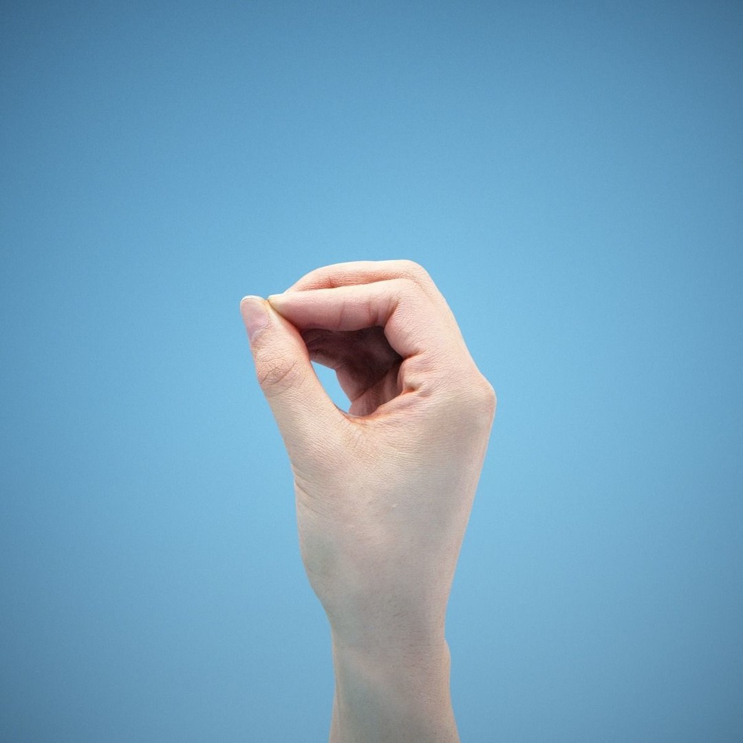 36 Hand Scans 3D Model – Low Poly Character Anatomy, OBJ & ZTL Formats - View 8