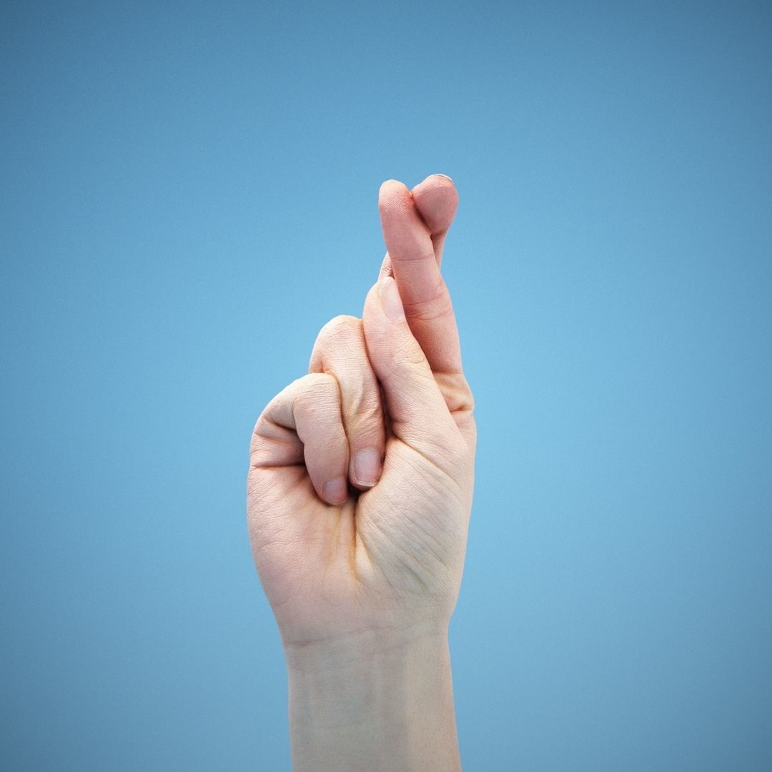 36 Hand Scans 3D Model – Low Poly Character Anatomy, OBJ & ZTL Formats - View 9