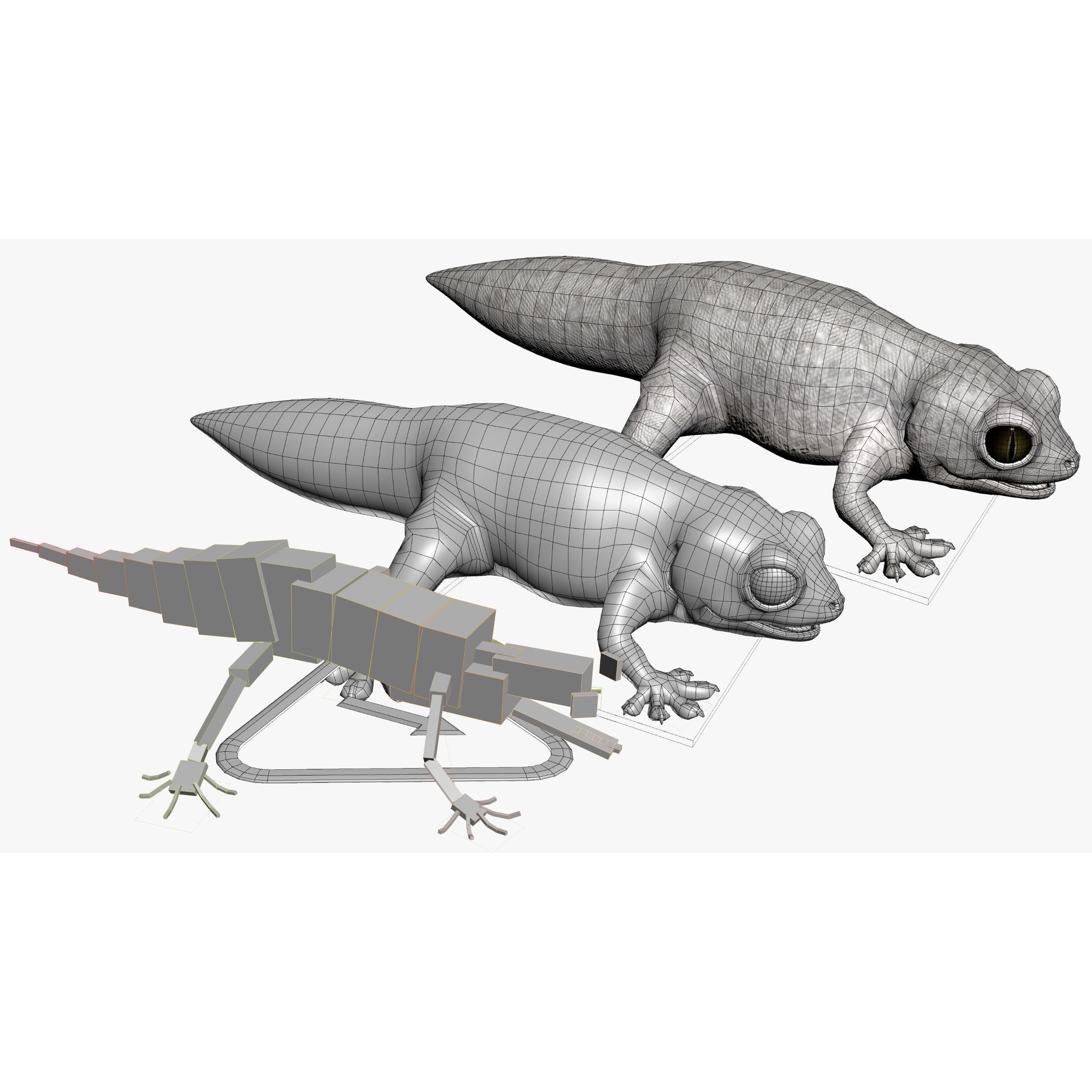 Gecko Reptile - Rigged Game-Ready 3D Model - View 13