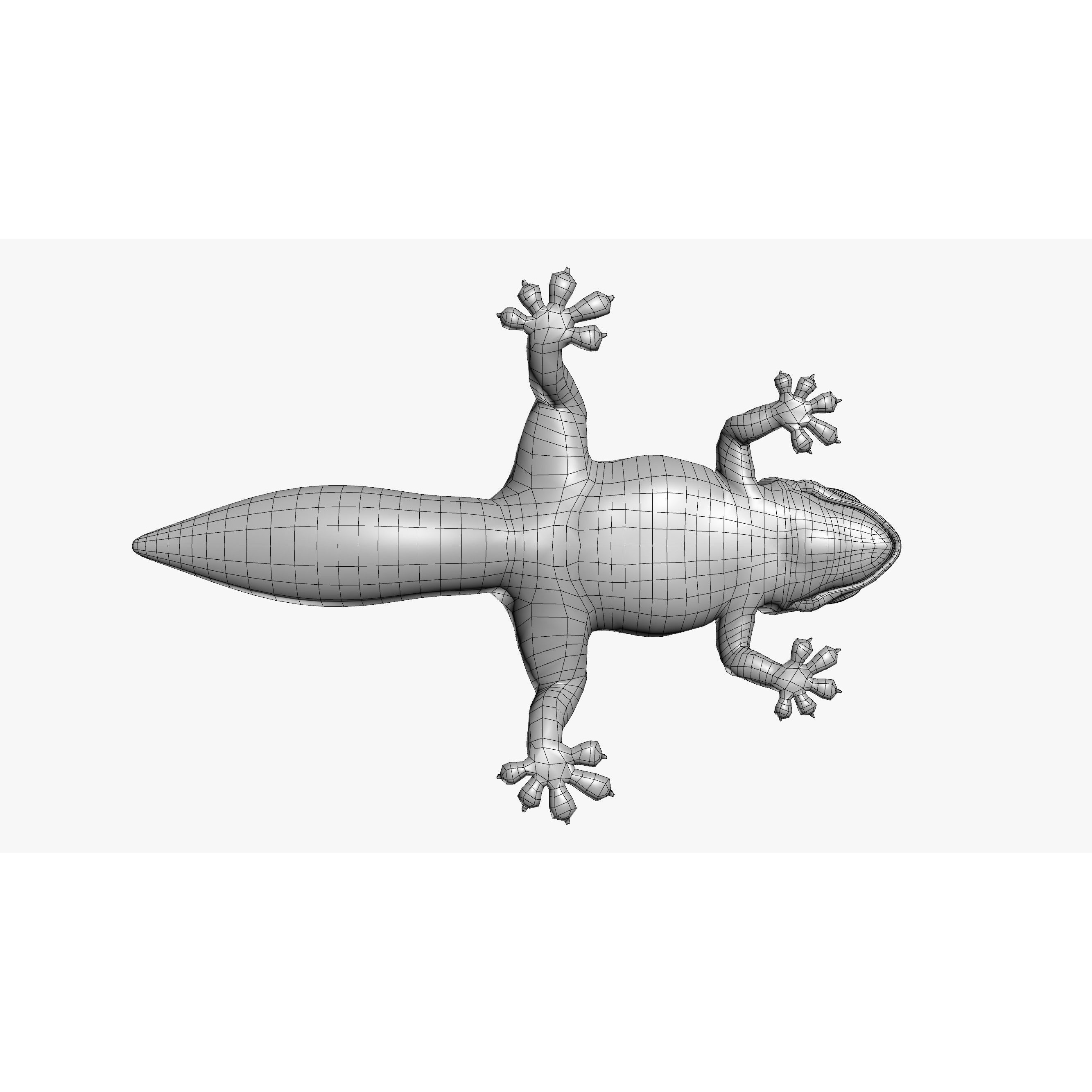 Gecko Reptile - Rigged Game-Ready 3D Model - View 14
