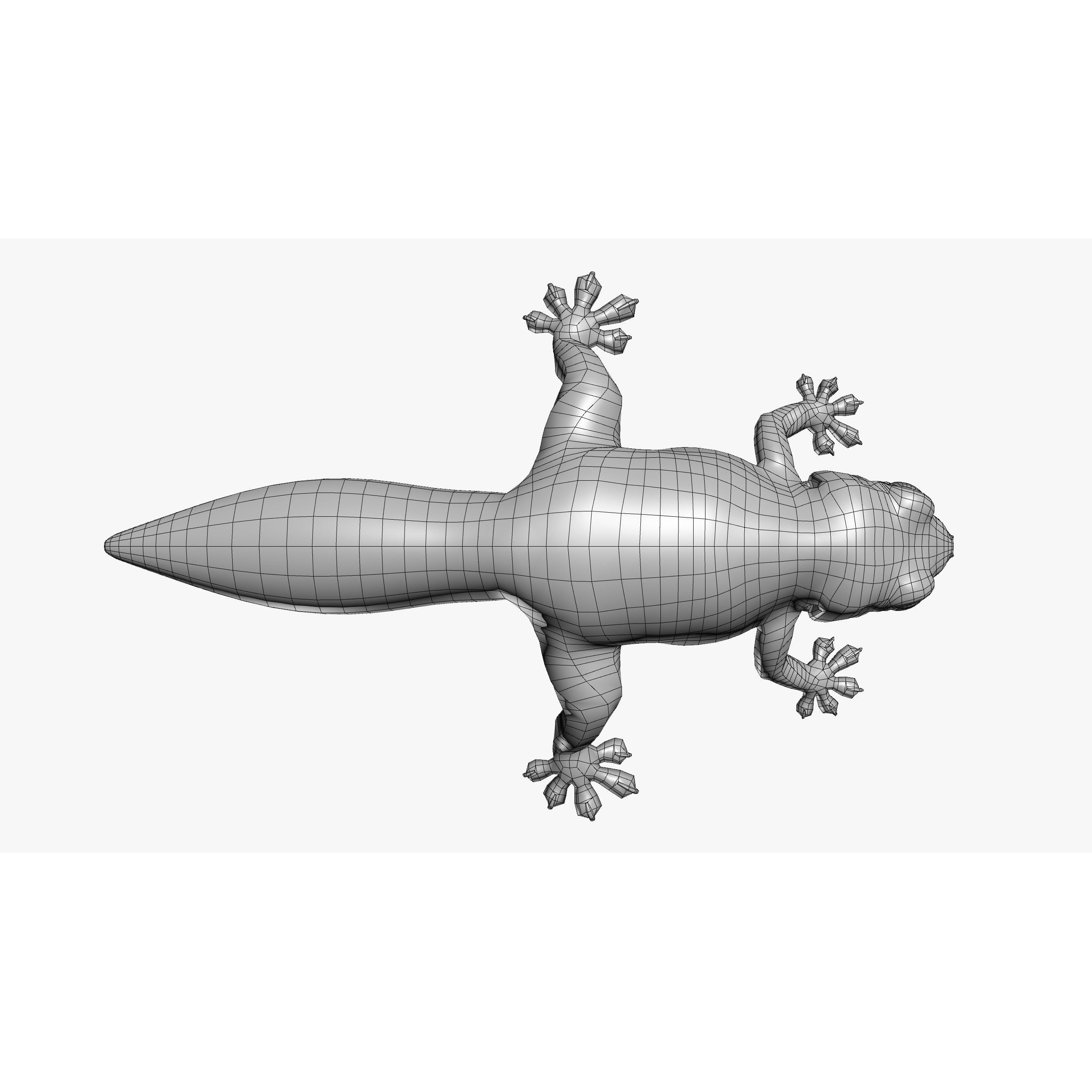 Gecko Reptile - Rigged Game-Ready 3D Model - View 15