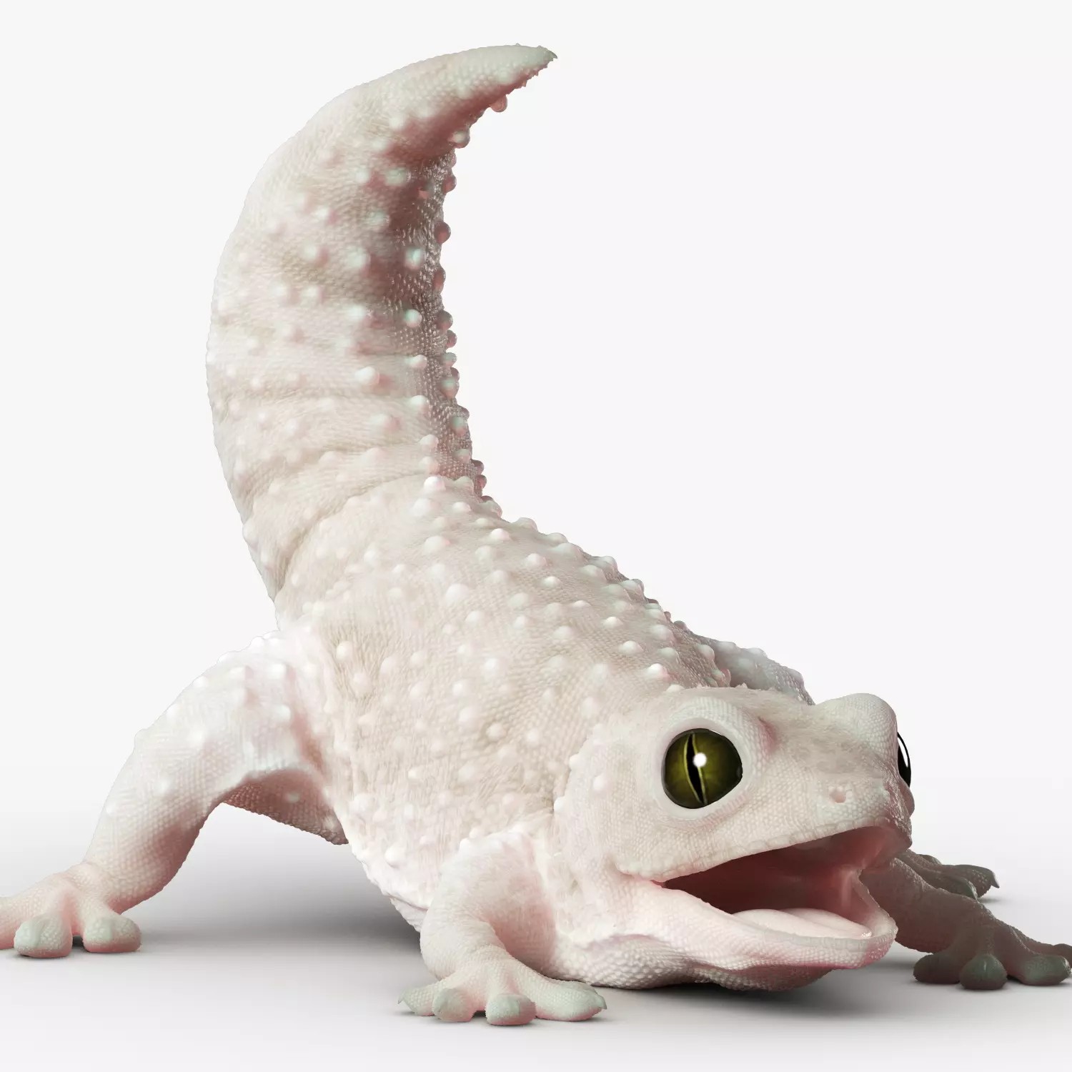 Gecko Reptile - Rigged Game-Ready 3D Model - View 2
