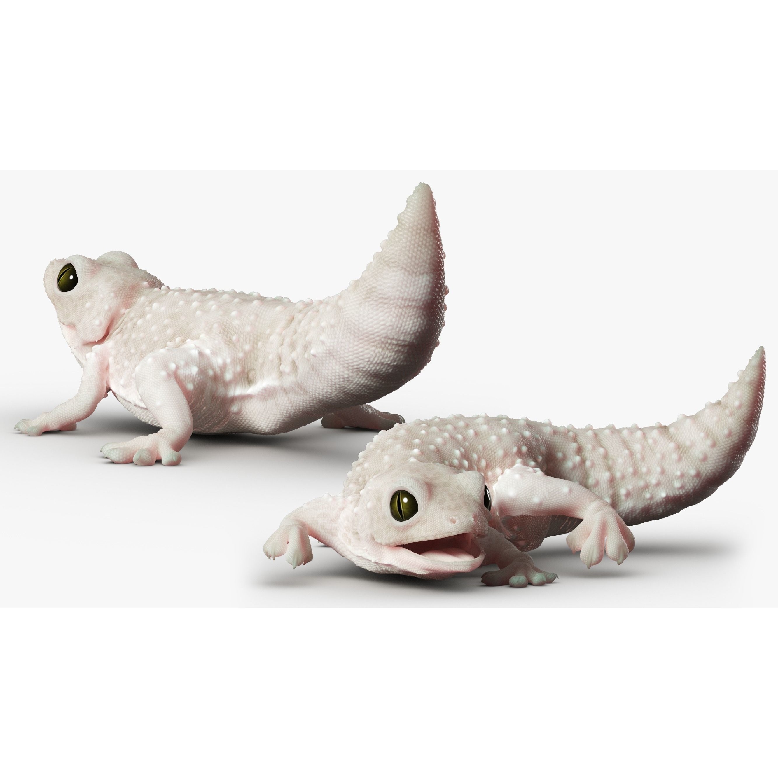 Gecko Reptile - Rigged Game-Ready 3D Model - View 4