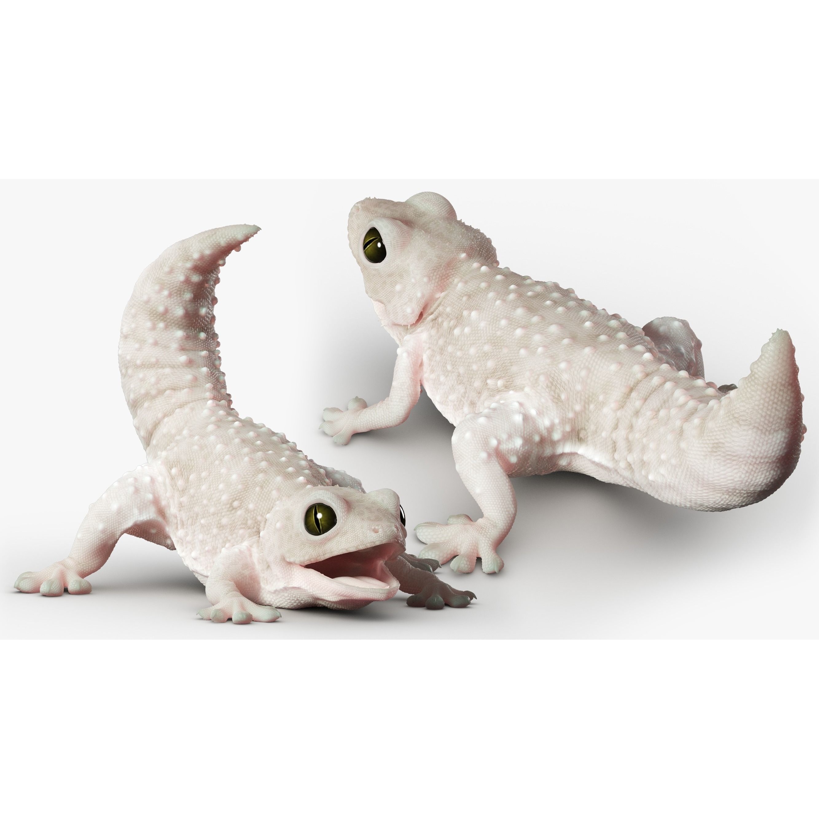 Gecko Reptile - Rigged Game-Ready 3D Model - View 5