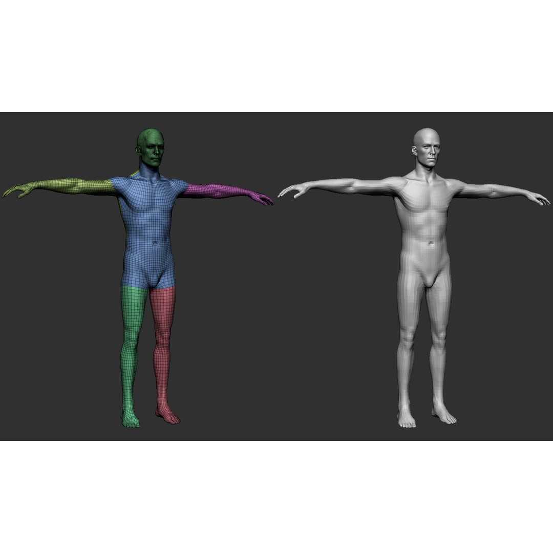Male Body 3D Model – Low Poly Real-time Character, FBX, OBJ