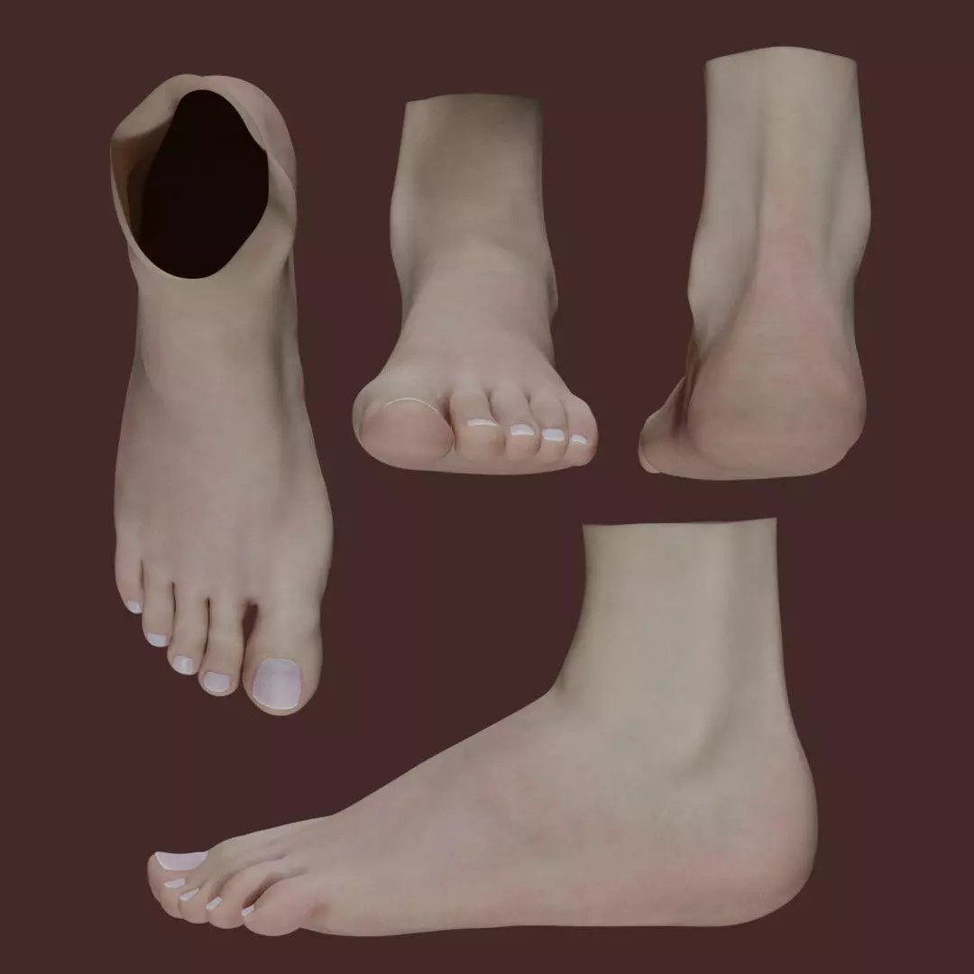 Woman Foot 3D Model – Low Poly Character Anatomy, FBX & PBR Textures - View 2