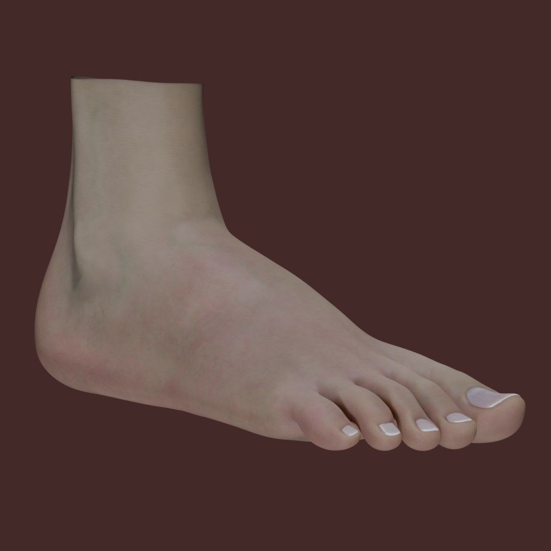 Woman Foot 3D Model – Low Poly Character Anatomy, FBX & PBR Textures - View 3