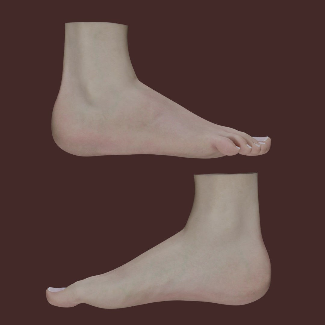 Woman Foot 3D Model – Low Poly Character Anatomy, FBX & PBR Textures - View 4