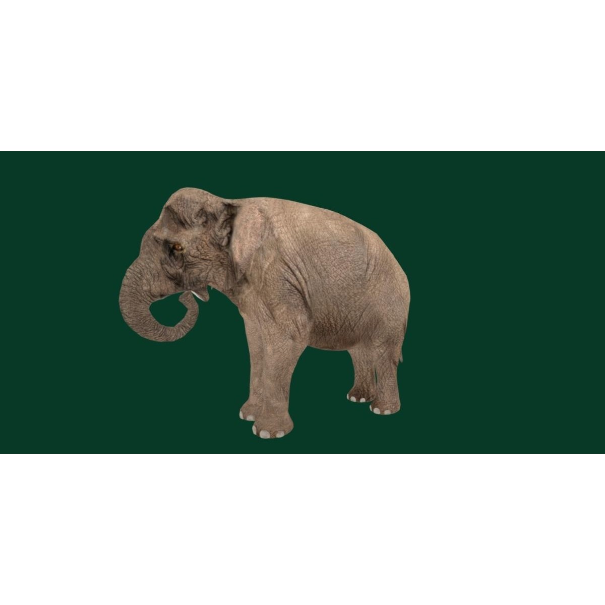 Asian Elephant Adult - Low-Poly Game-Ready 3D Model - View 13
