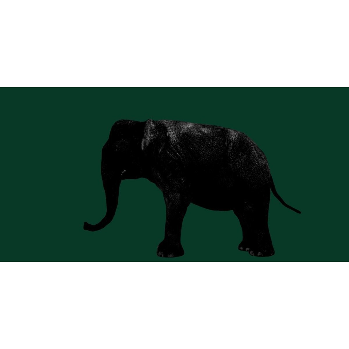 Asian Elephant Adult - Low-Poly Game-Ready 3D Model - View 17
