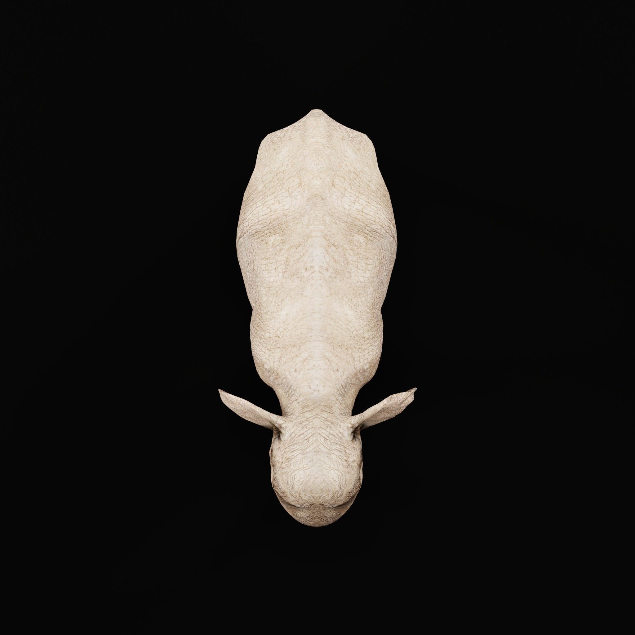 Asian Elephant Adult - Low-Poly Game-Ready 3D Model - View 22